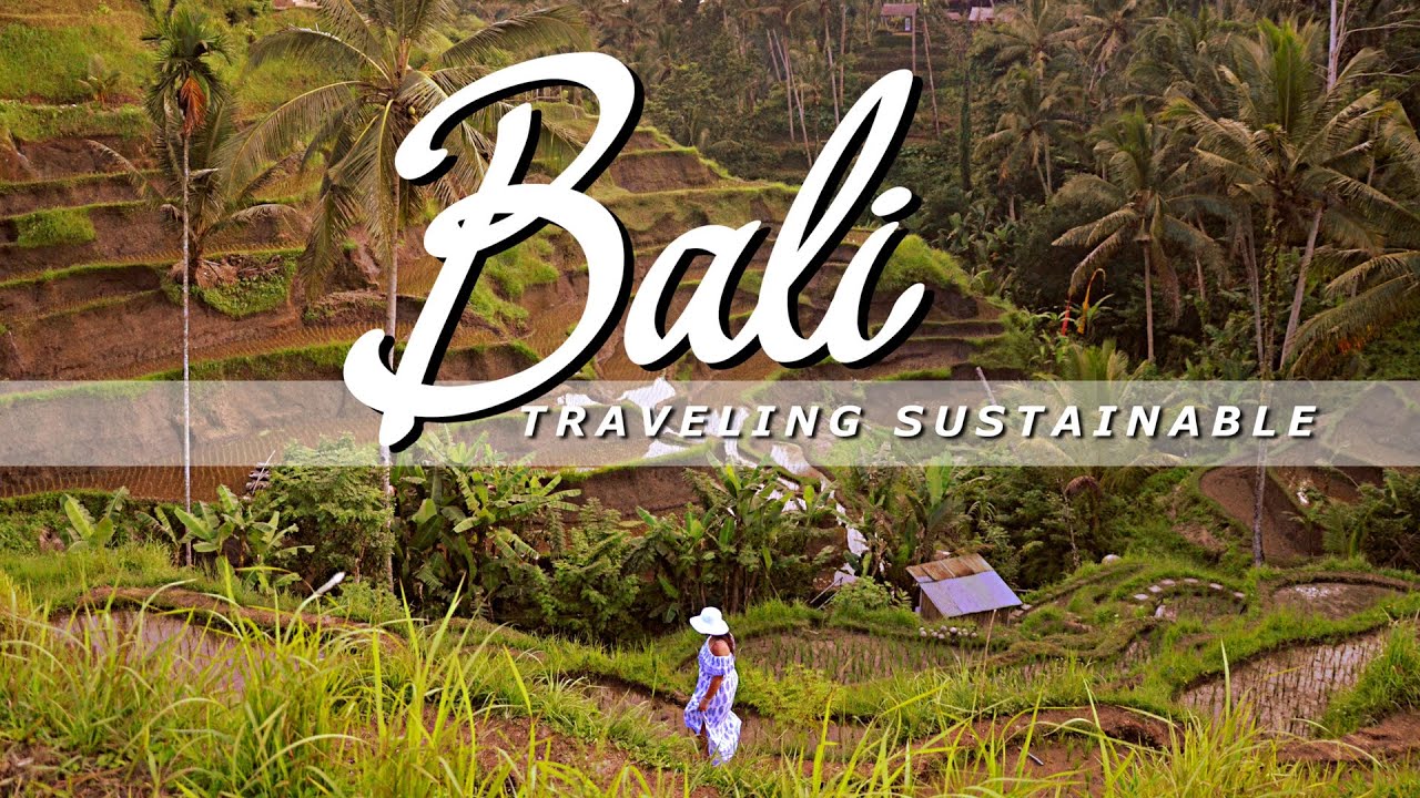 BALI || We have found the most sustainable place // Eco Tourism