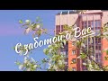 «С заботой о Вас» - выпуск №8