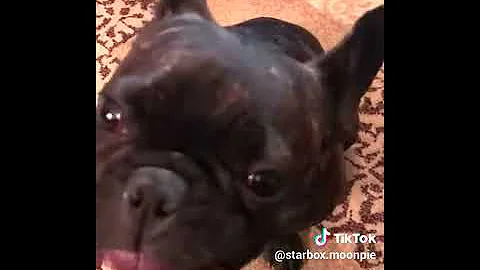 Tik Tok | Barbecue Sauce on the side video