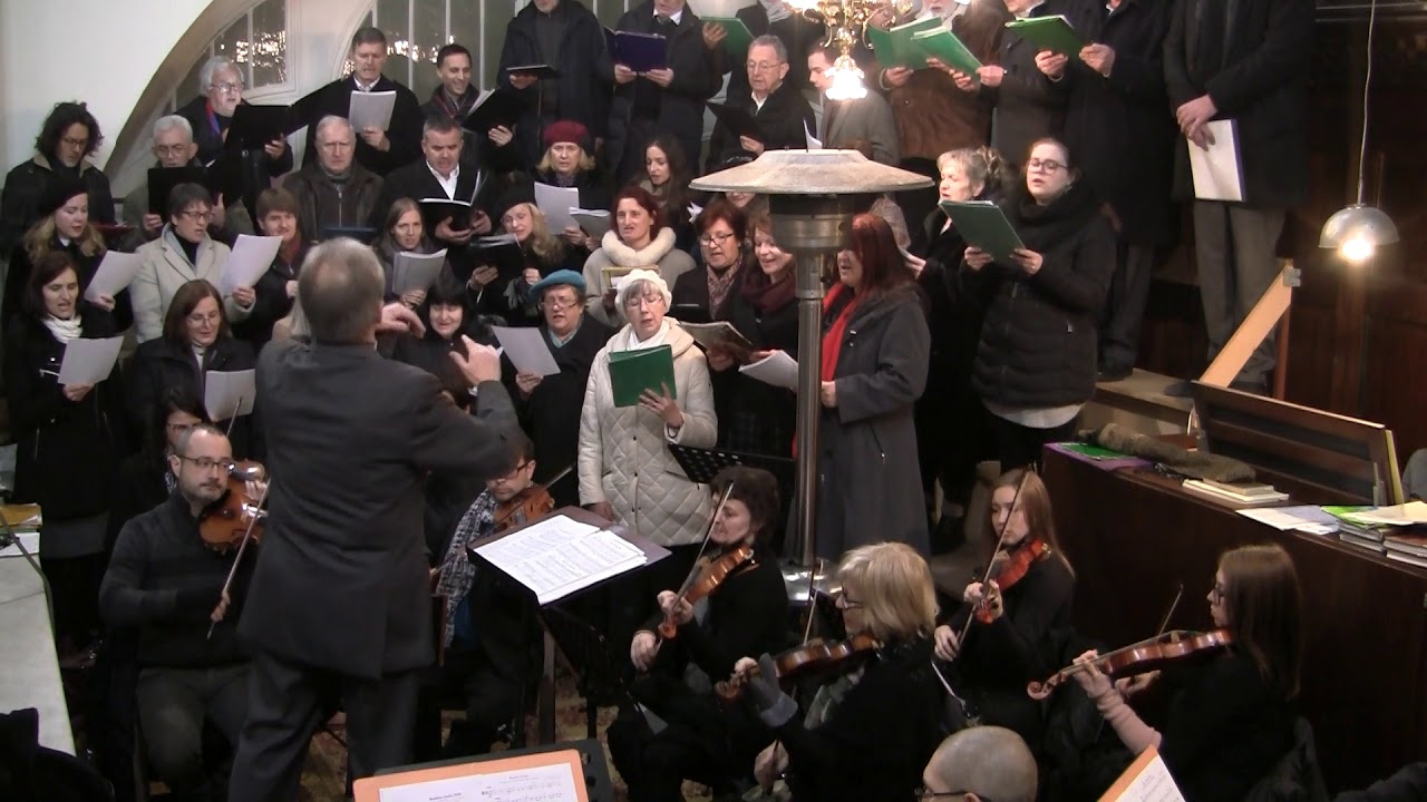 Valentin Štolcer/M.Feguš: Rajske strune zadonite