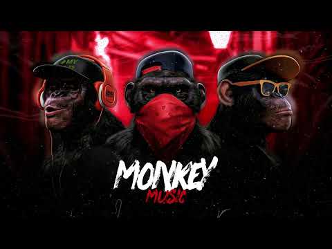 Eletro Funk - Beat do Gaiteiro - MC L3 & MC Lari ( DJ Eduardo Mendes )