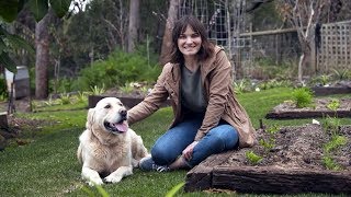 The Garden Gurus - Tips on a creating a dog friendly garden