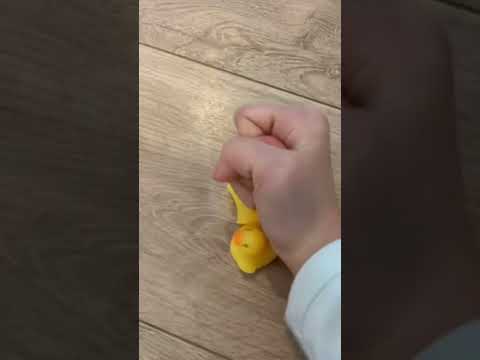 Holy duck