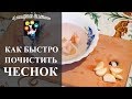 ТОП-4 способа как быстро почистить чеснок от шелухи за пару секунд