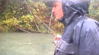 Coho Carnage Re-amped