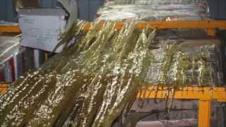 Large Loss Cold Storage Facility Collapse - Harlingen, TX - Complete, Inc.