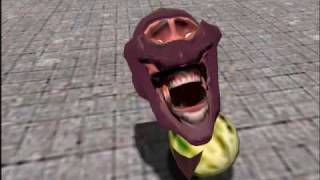 SPY IS MELON