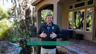From Overgrown to Oasis (Part 1) | 10-Year Pond Makeover