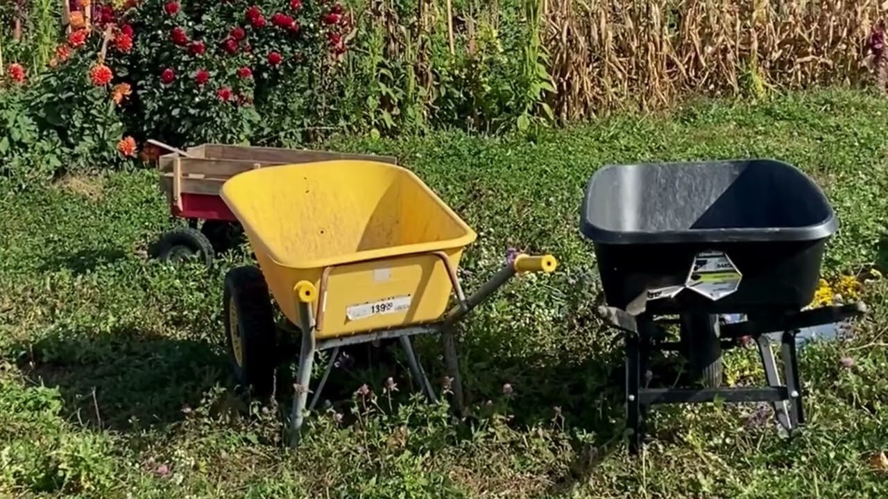 Toronto Food Stories - Site Visits: Malvern Urban Farm