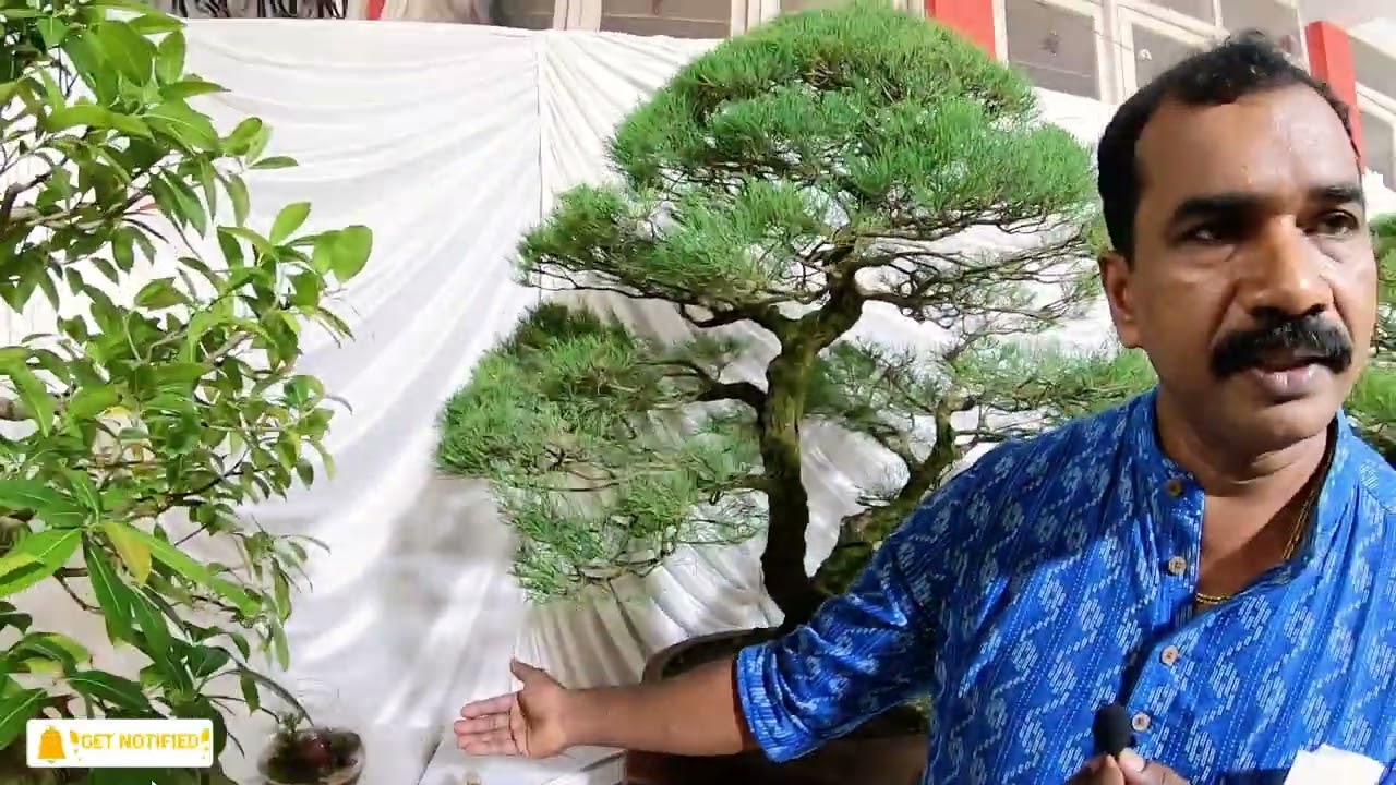 Kerala Bonsai Exhibition Vlog 🇮🇳 - Tamil travel vlog