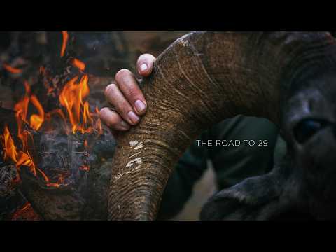 The Road To 29 | A Desert Bighorn Film