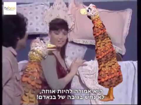 מה לעזאזל ראינו? פרפר נחמד
