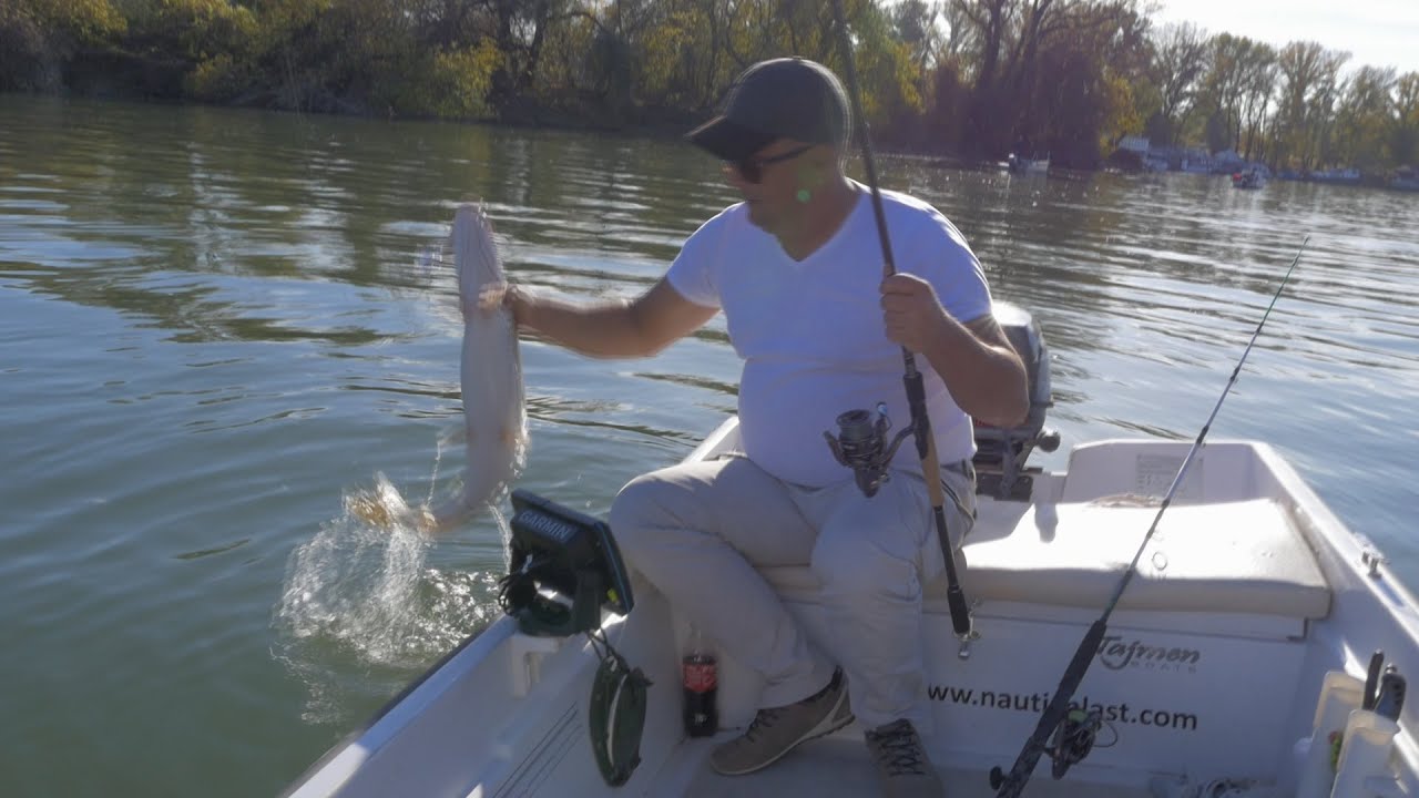 51. Kako loviti štuku