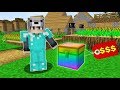 FAKİR'in 100.000 TL'lik GİZLİ RENKLİ SANDIĞI! 😱 - Minecraft