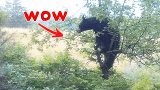 I Caught Something JAW DROPPING on My Trail Camera!