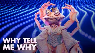 Download Lagu King Krab - ‘Why Tell Me Why’ | The Masked Singer | Seizoen 5 | VTM MP3 Download Lagu King Krab - ‘Why Tell Me Why’ | The Masked Singer | Seizoen 5 | VTM MP3
