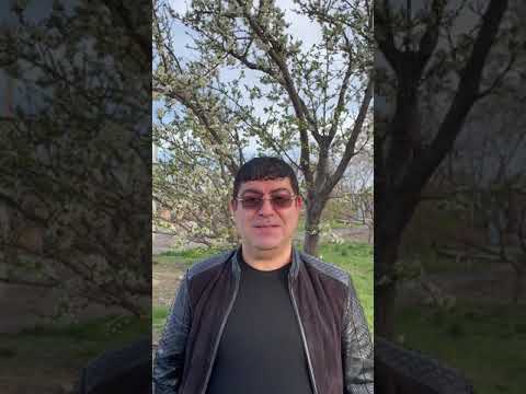 Tatul Avoyan