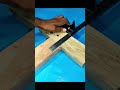 Short video