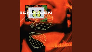 Schudden (feat. Cho) - Bokoesam