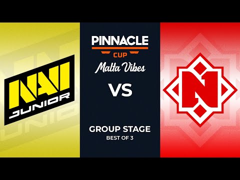 NAVI Jr vs Nemiga | Pinnacle Cup: Malta Vibes #4 Dota 2 Highlights