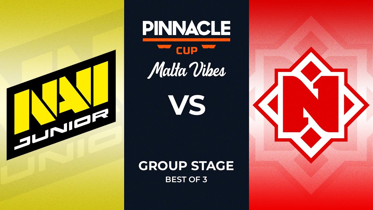 NAVI Jr vs Nemiga | Pinnacle Cup: Malta Vibes #4 Dota 2 Highlights