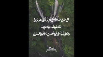 ألايه من سوره النحل باجمل تلاوة الشيخ عبد الرحمن مسعد