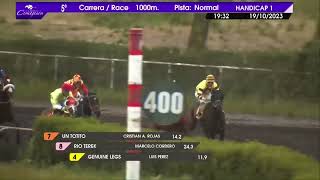 Vidéo de la course PMU PRIX WYNN