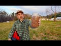 Seeding Pasture Food for Farm Animals