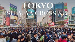 🌐 Shibuya Crossing, Tokyo 🇯🇵 | World’s Busiest Intersection & Urban Legend in Motion