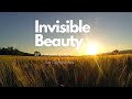 Invisible Beauty by Aakash Gandhi - Free Music For Your Youtube Video