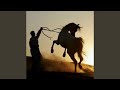 خيل اهلنا
