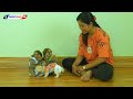 Amazing Animals, Adorable Monkey KAKO With LUNA Checking Baby Puppy' Fur