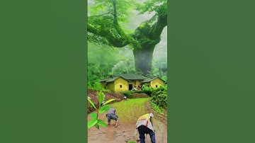 Farmers in the countryside in the morning