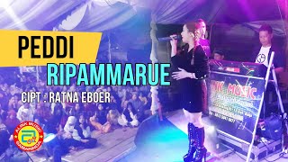 PEDDI RIPAMMARUE ~ Silva Adrian || live In Pantai Paser Grogot