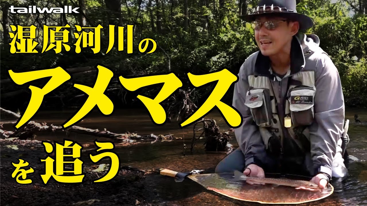 【ネイティブトラウト】湿原河川のアメマスを追う【北海道・道東】