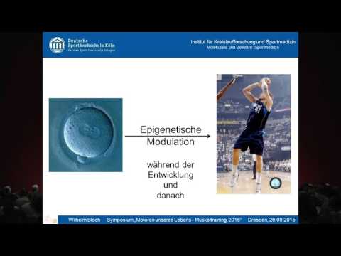 "Motoren unseres Lebens - Muskeltraining 2015" / Vortrag Prof. Dr. Wilhelm Bloch