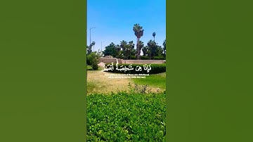 ايات قرانية خاشعة وراحة نفسية #آيات_القرآن #المصحف #الرحمن #القرآن_الكريم #راحة_نفسية #اكتب_شي_توجر