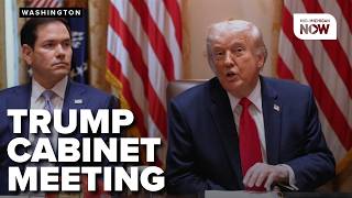President Trump holds a Cabinet meeting at the White House
