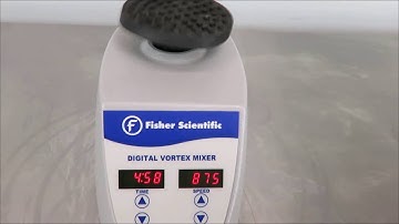 Fisher Scientific Digital Vortex Mixer