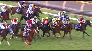 2015年ジャパンカップ ショウナンパンドラ - YouTube