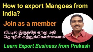 How to export mangoes from India ? | Mango Exports | Export Business in tamil