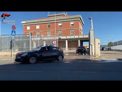 Video Apricena: ferito in pieno centro a colpi d’arma da fuoco, arrestato il presunto autore.