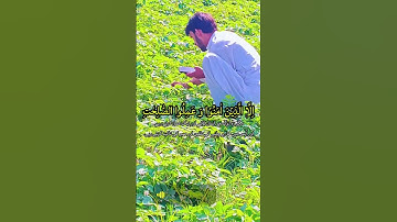 #سورة_العصر #اكسبلور #القزابري #تيك_توك #المصحف #دويتو #الرحمن #duet #الورقات #لايك #البرزخ
