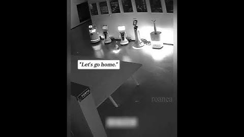 Tiny robot kidnaps 12 other robots in a showroom in Zhejiang