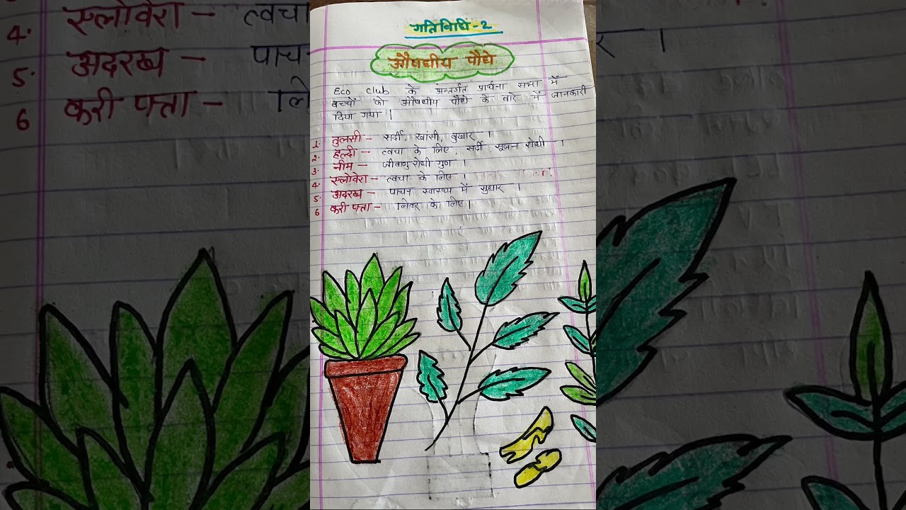 Eco club, October month karya yojna