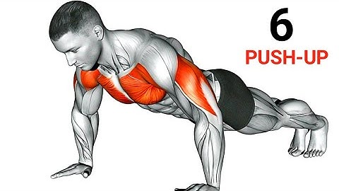Chest workout no equipment | Push up variations | Push-up workout At Home