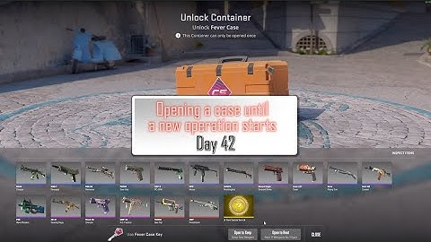 Opening a case until a new CS2 operation starts - Day 42