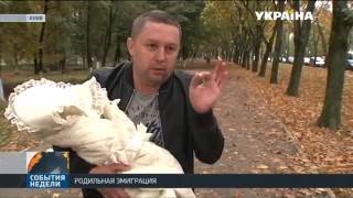 Роды в 3 роддоме Киева абсолютно бесплатны! Проверено! online video cutter com(Роды в 3 роддоме Киева абсолютно бесплатны! Проверено!, 2016-10-14T11:46:45.000Z)