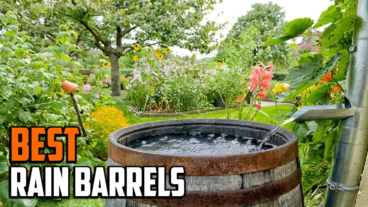 Best Rain Barrel In 2024 Top 10 Rain Barrels Review YouTube