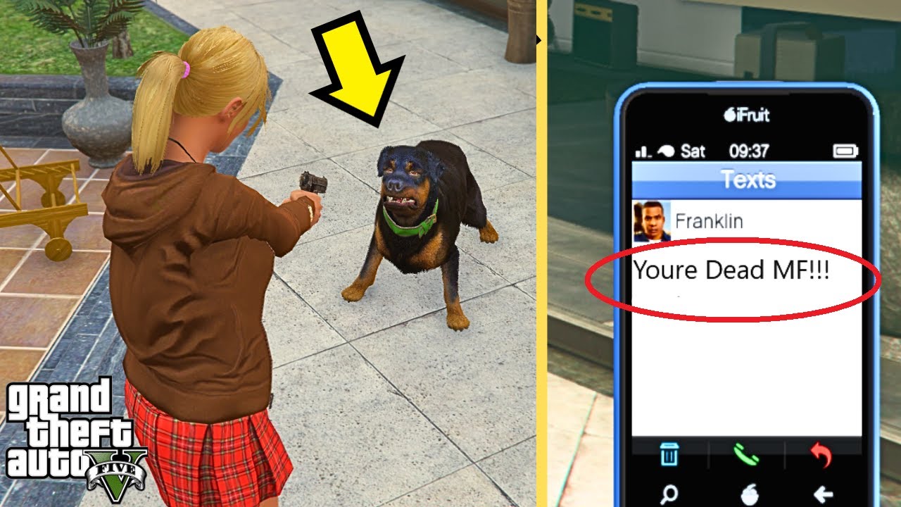 Why did Tracey Killed Franklin's Dog in gta 5